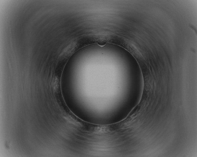 X0000091850077200709121318