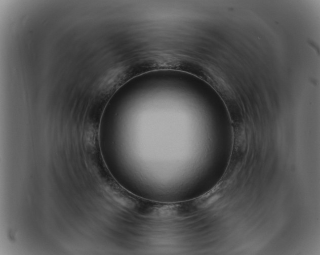 X0000091850078200709121318