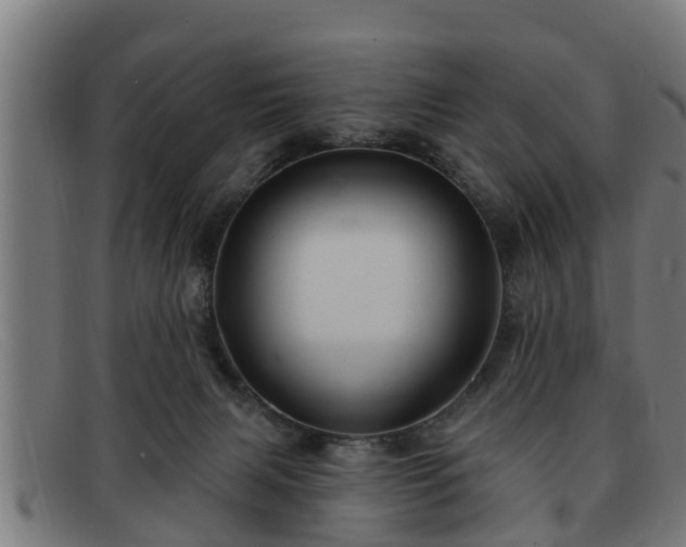 X0000091850079200709121318