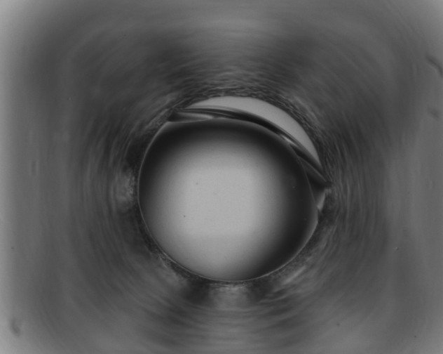 X0000091850081200709121319
