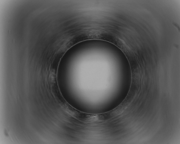 X0000091850083200709121319
