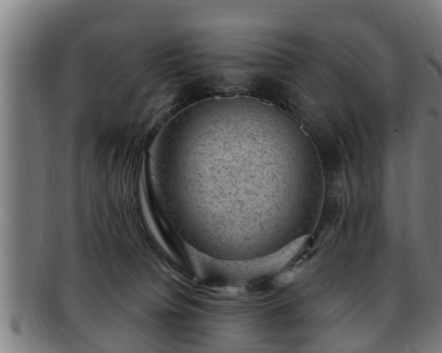 X0000091850084200709121319