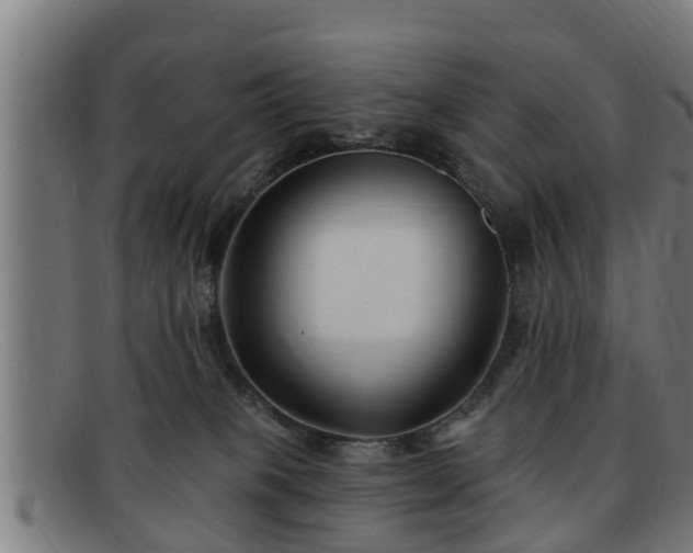 X0000091850085200709121319