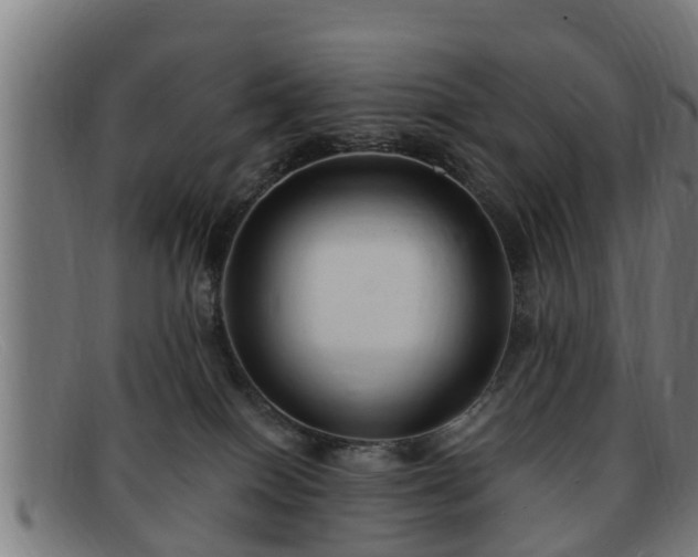X0000091850086200709121319