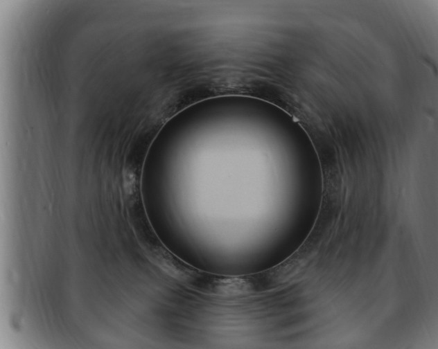 X0000091850087200709121319
