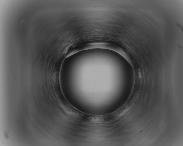X0000091850088200709121319