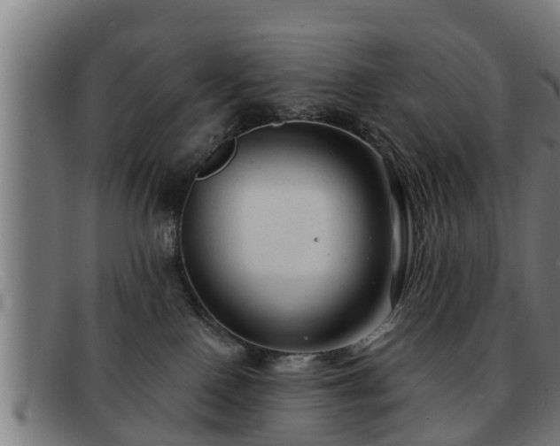 X0000091850090200709121319