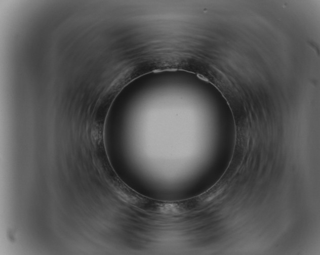 X0000091850091200709121319