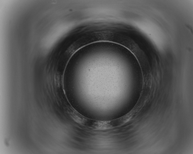 X0000091850093200709121319