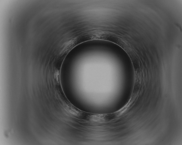 X0000091850094200709121319