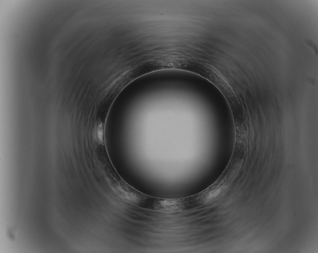 X0000091850095200709121319