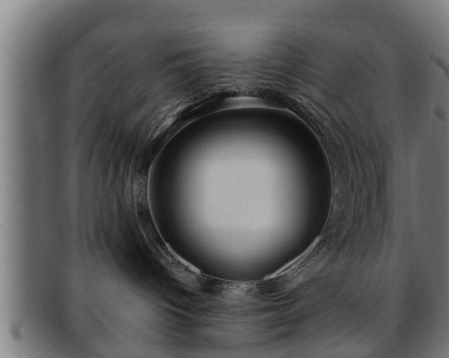 X0000091850096200709121319