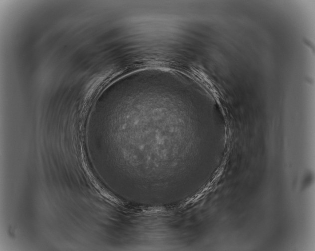 X0000091850097200709121318