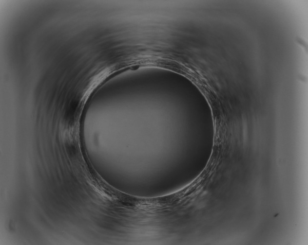 X0000091850099200709121318