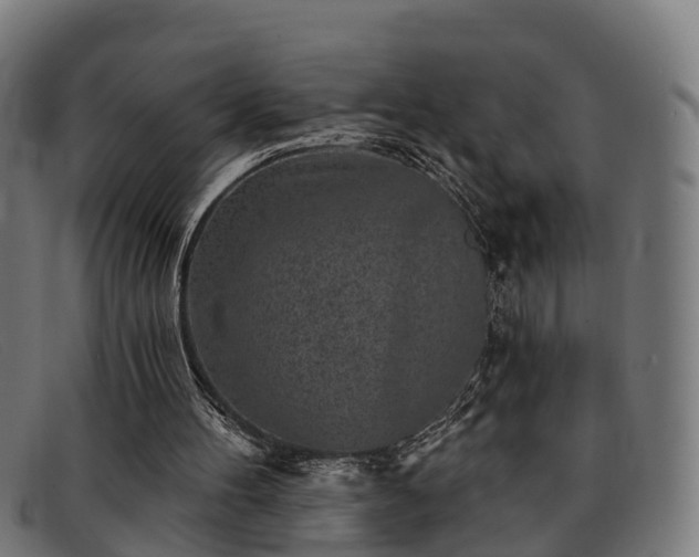 X0000091850100200709121318