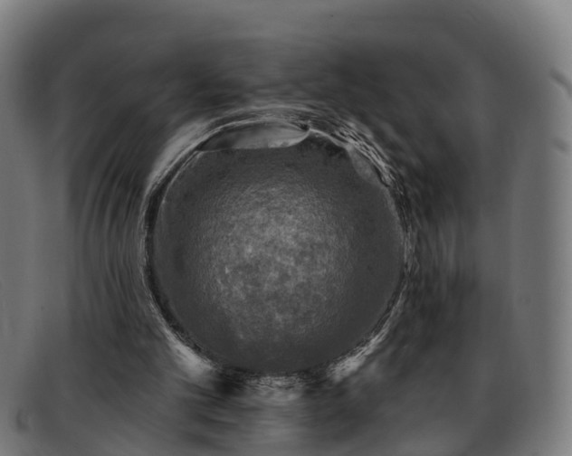 X0000091850101200709121318