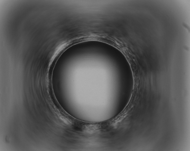 X0000091850102200709121318