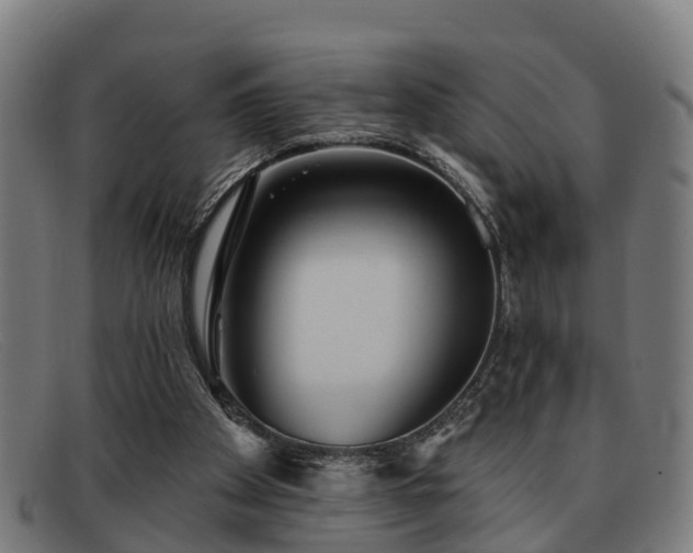 X0000091850105200709121318