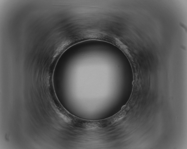 X0000091850106200709121318