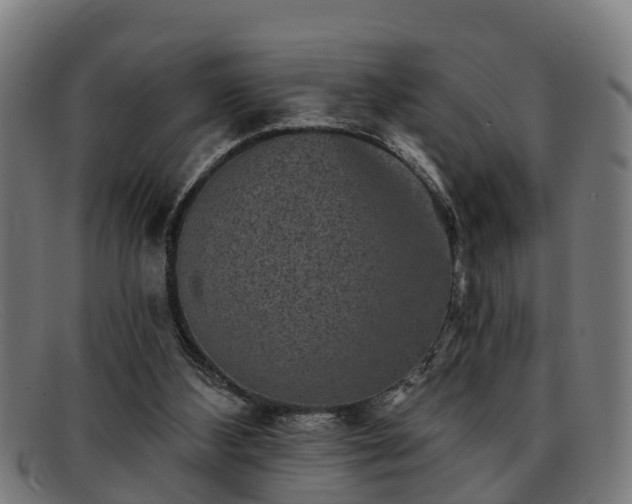 X0000091850108200709121318