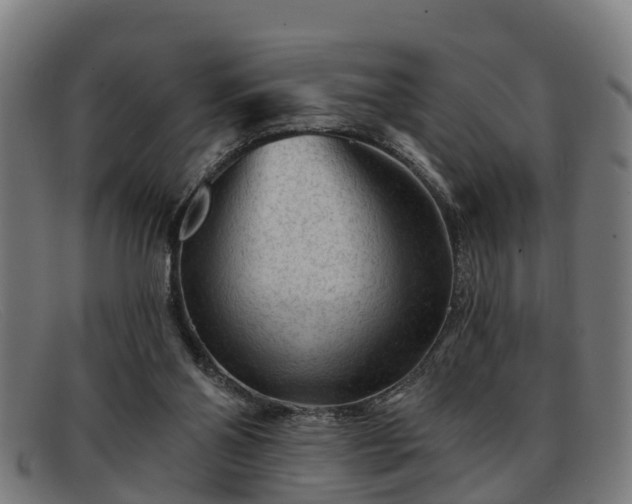 X0000091850110200709121318
