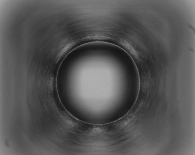 X0000091850111200709121318