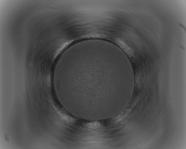 X0000091850112200709121318