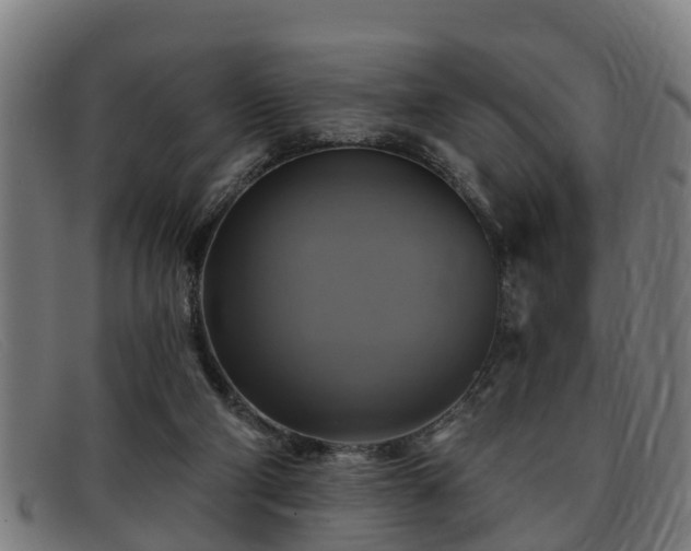 X0000091850114200709121318