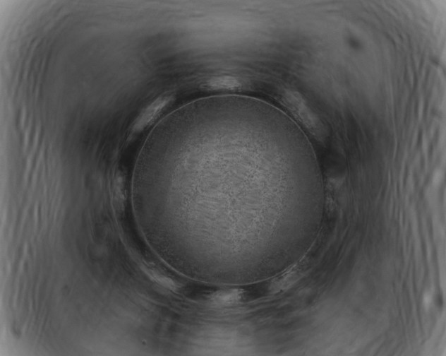 X0000091850116200709121318