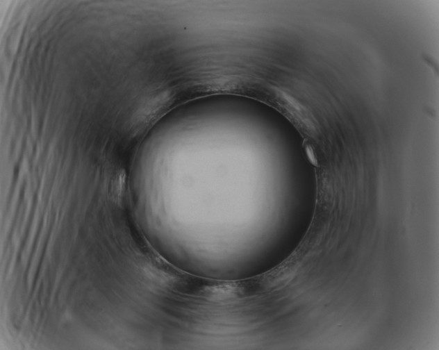 X0000091850118200709121318