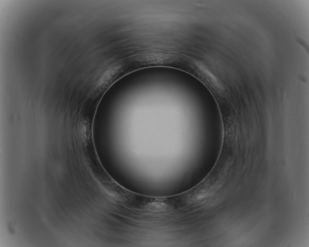 X0000091850119200709121318