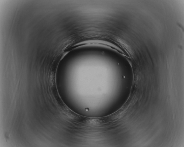 X0000091850121200709121318