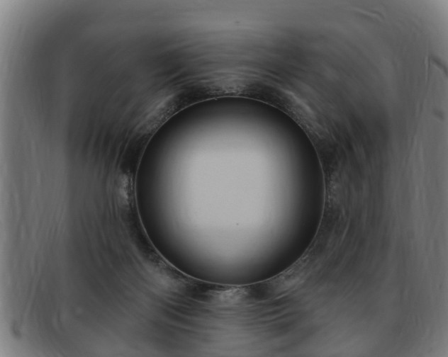 X0000091850122200709121318