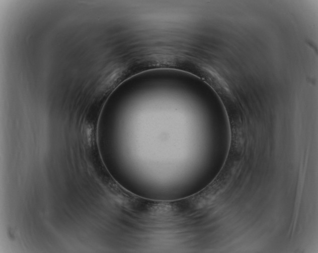X0000091850123200709121318
