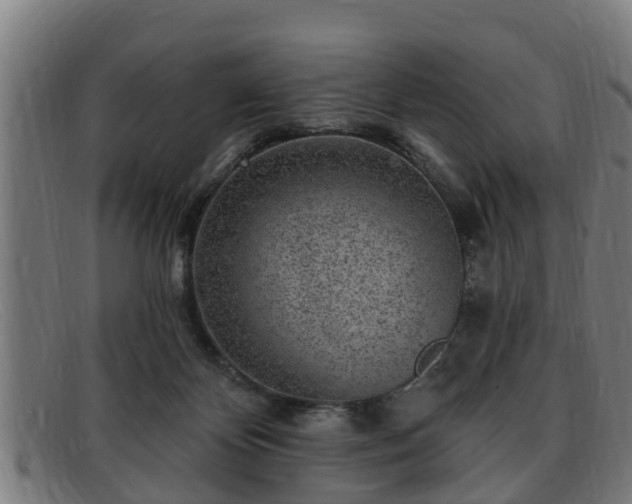 X0000091850124200709121318