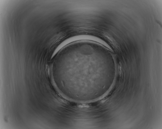 X0000091850125200709121318