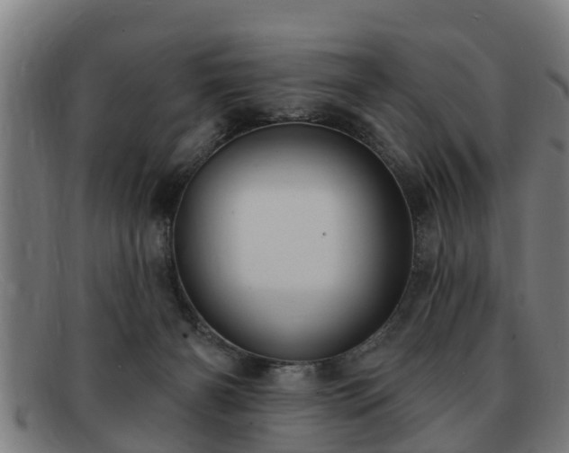 X0000091850126200709121318