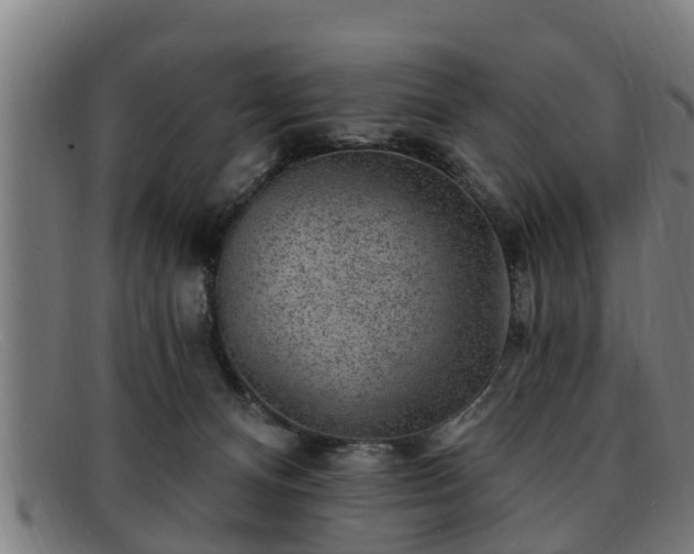 X0000091850128200709121318