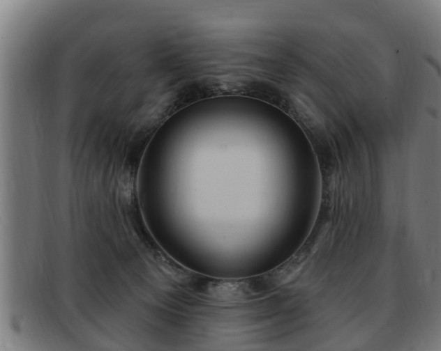 X0000091850129200709121318