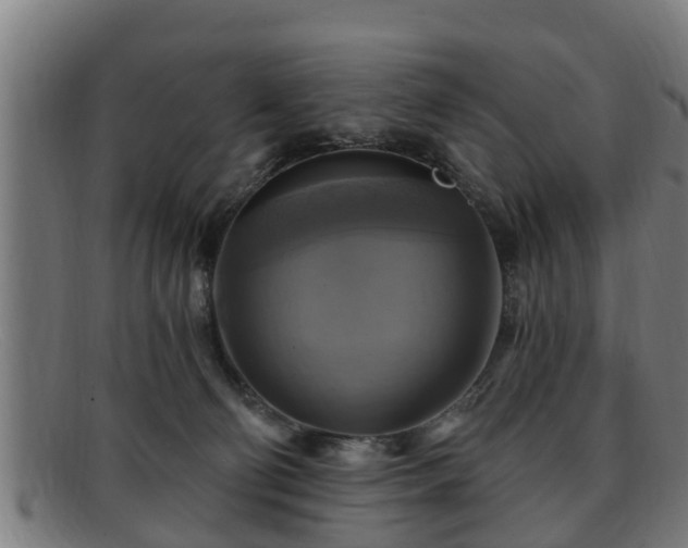 X0000091850130200709121318