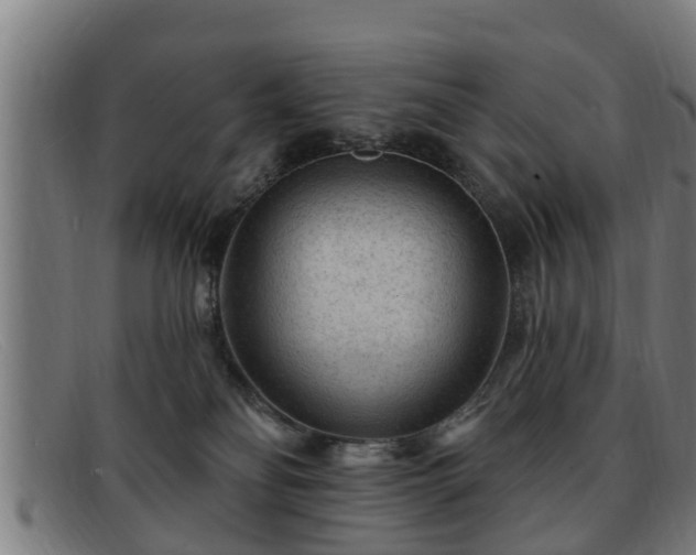 X0000091850134200709121318