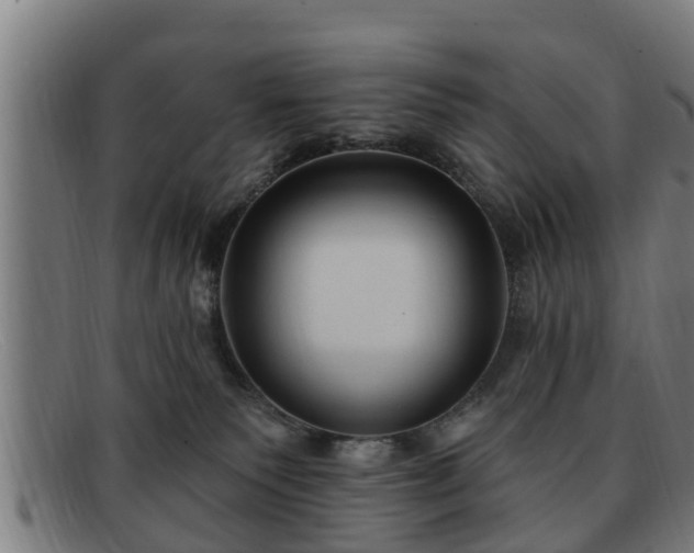 X0000091850135200709121318