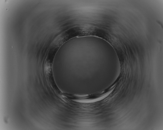 X0000091850137200709121318