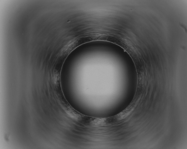 X0000091850138200709121318