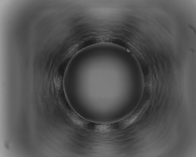 X0000091850139200709121318