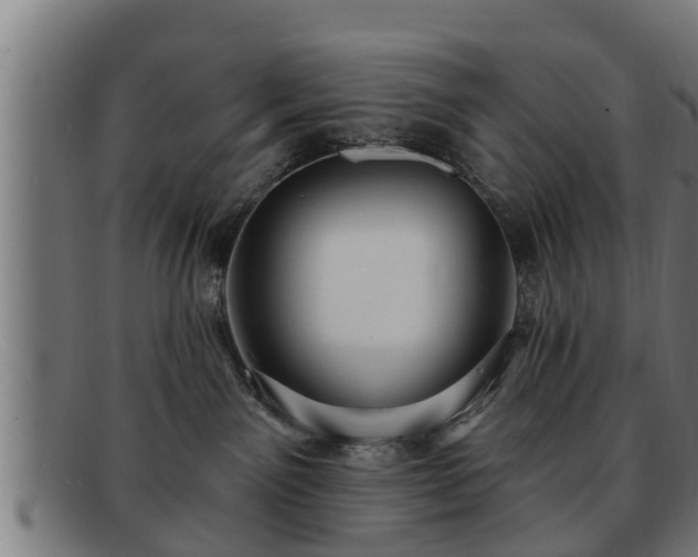 X0000091850141200709121318