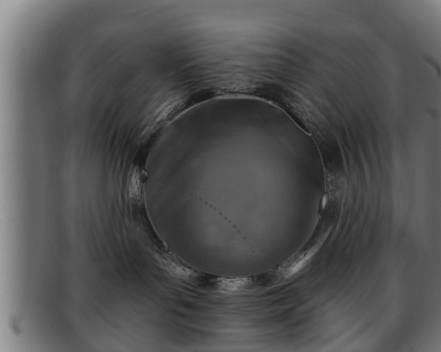 X0000091850143200709121318