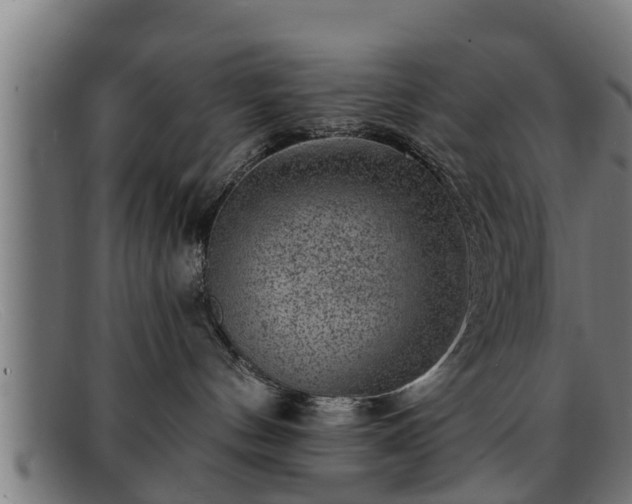 X0000091850144200709121318