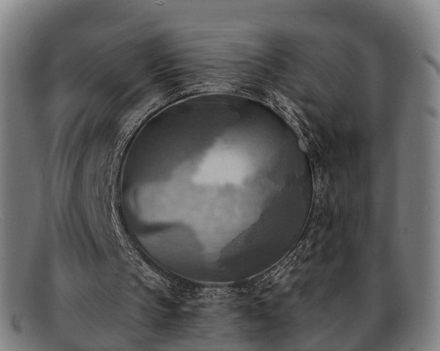 X0000091850145200709121317