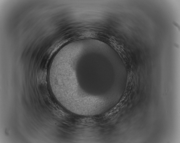 X0000091850146200709121317